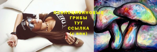 экстази Богородицк
