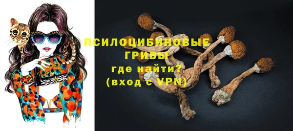 экстази Богородицк