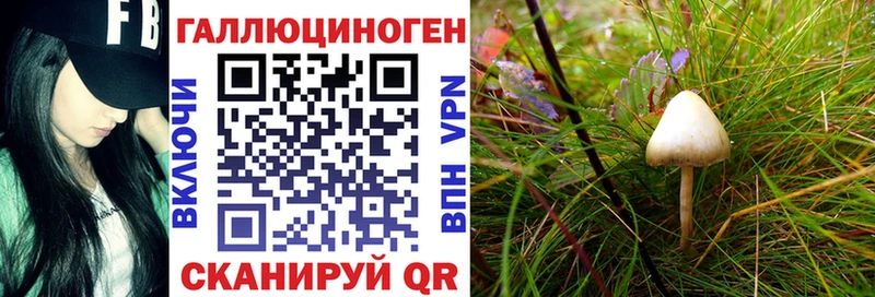 Галлюциногенные грибы Psilocybe  ОМГ ОМГ зеркало  Карпинск 